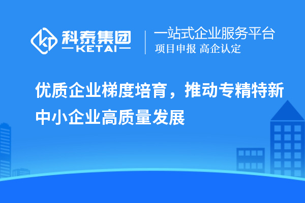 優(yōu)質(zhì)企業(yè)梯度培育，推動專精特新中小企業(yè)高質(zhì)量發(fā)展