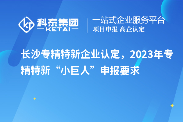 長沙專精特新企業(yè)認(rèn)定，2023年專精特新“小巨人”申報(bào)要求