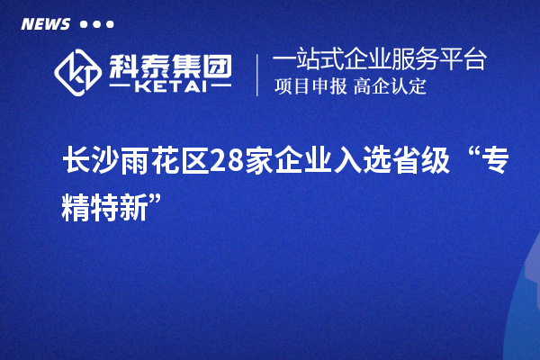 長沙雨花區(qū)28家企業(yè)入選省級(jí)“專精特新”