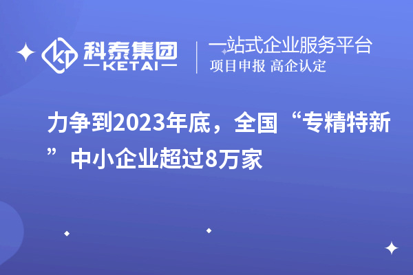 力爭到2023年底，全國“專精特新”中小企業(yè)超過8萬家