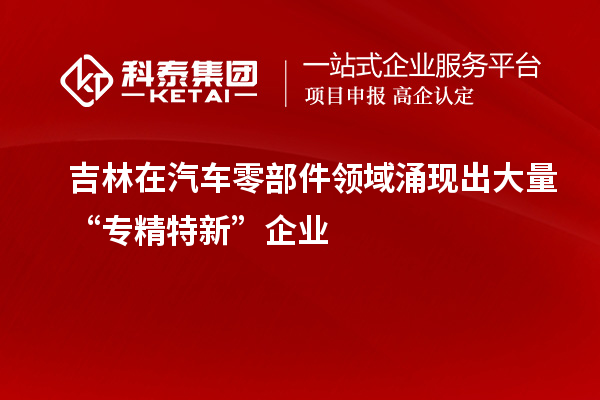 吉林在汽車零部件領域涌現(xiàn)出大量“專精特新”企業(yè)