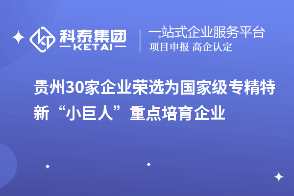 貴州30家企業(yè)榮選為國家級(jí)專精特新“小巨人”重點(diǎn)培育企業(yè)
