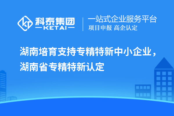 湖南培育支持專精特新中小企業(yè)，湖南省專精特新認定