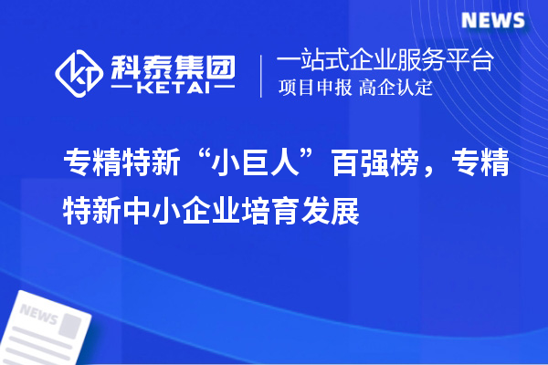 專精特新“小巨人”百強(qiáng)榜，<a href=http://www.hsloq2267.cn/fuwu/zhuanjingtexin.html target=_blank class=infotextkey>專精特新中小企業(yè)</a>培育發(fā)展