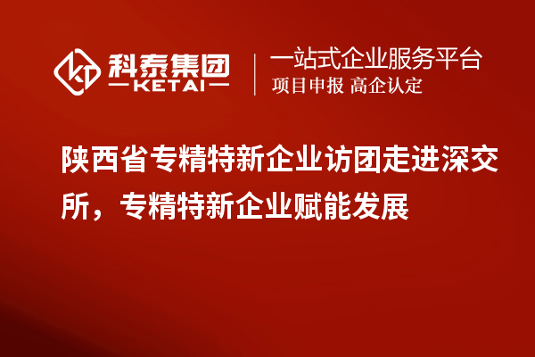 陜西省專精特新企業(yè)訪團(tuán)走進(jìn)深交所，專精特新企業(yè)賦能發(fā)展