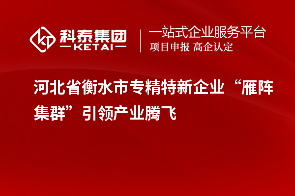 河北省衡水市專精特新企業(yè)“雁陣集群”引領產業(yè)騰飛