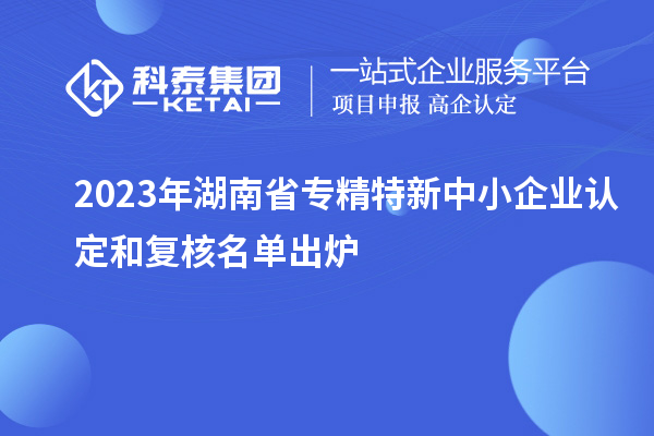 2023年湖南省專精特新中小企業(yè)認定和復(fù)核名單出爐