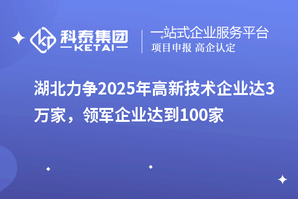 湖北力爭2025年高新技術(shù)企業(yè)達(dá)3萬家，領(lǐng)軍企業(yè)達(dá)到100家