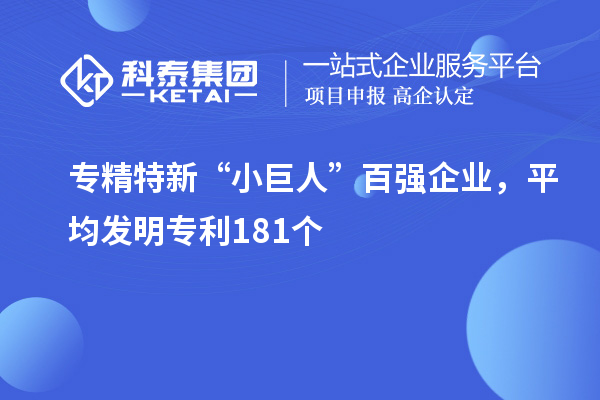 專精特新“小巨人”百強企業(yè)，平均發(fā)明專利181個