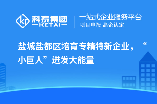 鹽城鹽都區(qū)培育專精特新企業(yè)，“小巨人”迸發(fā)大能量