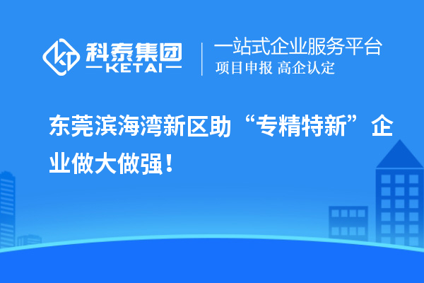 東莞濱海灣新區(qū)助“專精特新”企業(yè)做大做強(qiáng)！