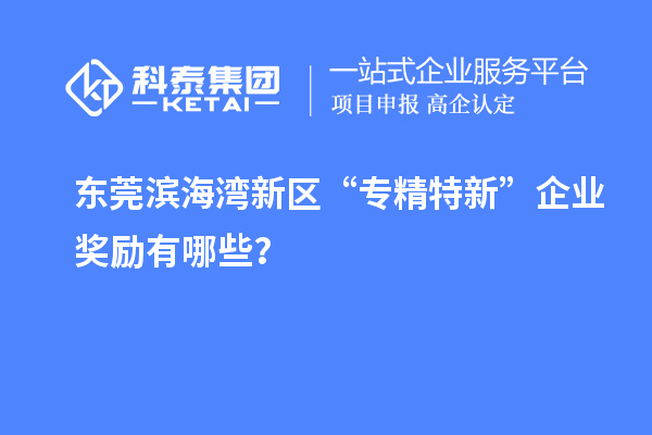 東莞濱海灣新區(qū)“專精特新”企業(yè)獎勵有哪些？