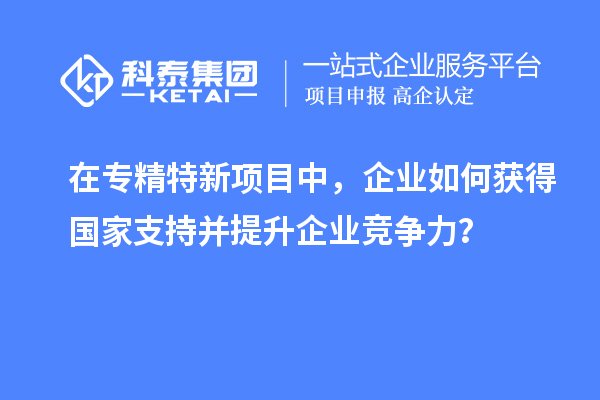 在專精特新項目中，企業(yè)如何獲得國家支持并提升企業(yè)競爭力？