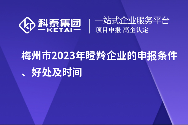 梅州市2023年瞪羚企業(yè)的申報(bào)條件、好處及時(shí)間