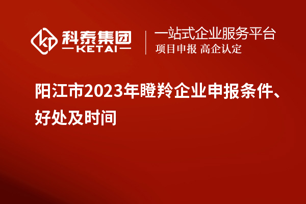 陽江市2023年瞪羚企業(yè)申報條件、好處及時間