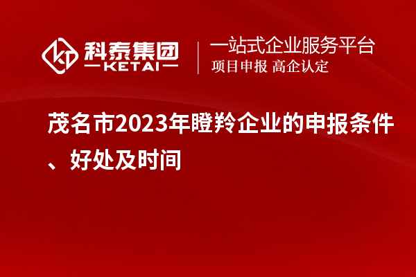茂名市2023年瞪羚企業(yè)的申報條件、好處及時間