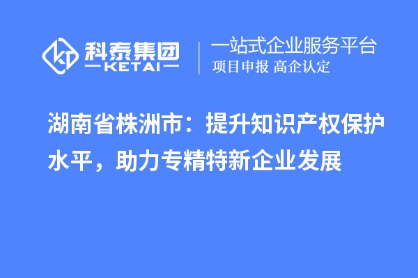 湖南省株洲市：提升知識產(chǎn)權(quán)保護(hù)水平，助力專精特新企業(yè)發(fā)展