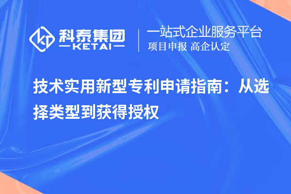  技術(shù)實(shí)用新型專利申請指南：從選擇類型到獲得授權(quán)