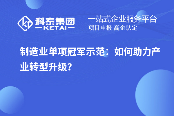 制造業(yè)單項(xiàng)冠軍示范：如何助力產(chǎn)業(yè)轉(zhuǎn)型升級？