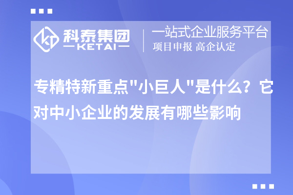 專精特新重點小巨人是什么？它對中小企業(yè)的發(fā)展有哪些影響