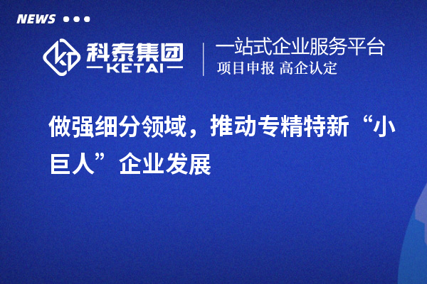 做強(qiáng)細(xì)分領(lǐng)域，推動(dòng)專(zhuān)精特新“小巨人”企業(yè)發(fā)展