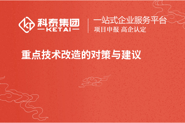  重點技術改造的對策與建議