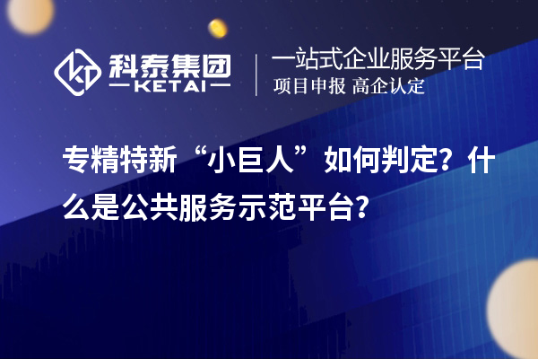 專精特新“小巨人”如何判定？什么是公共服務(wù)示范平臺(tái)？