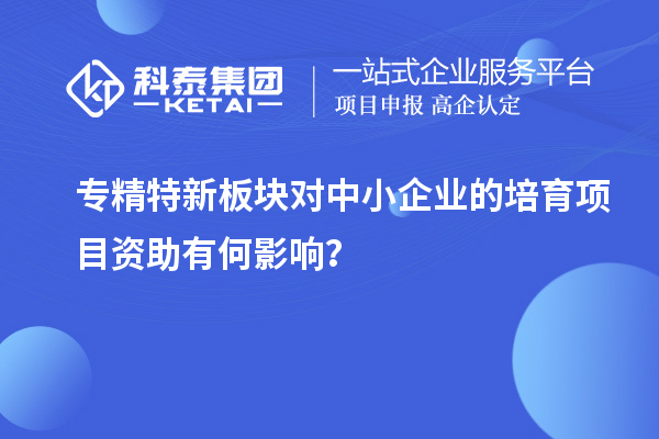 專精特新板塊對中小企業(yè)的培育項目資助有何影響？
