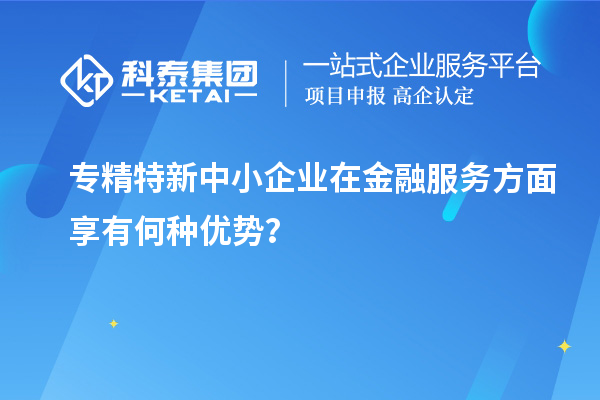 專精特新中小企業(yè)在金融服務(wù)方面享有何種優(yōu)勢(shì)？