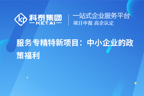 服務(wù)專精特新項(xiàng)目：中小企業(yè)的政策福利