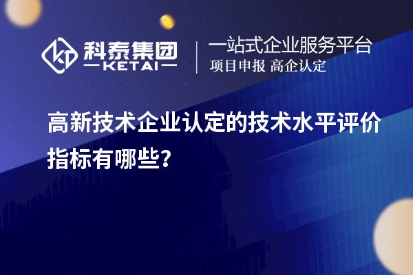 高新技術(shù)企業(yè)認(rèn)定的技術(shù)水平評(píng)價(jià)指標(biāo)有哪些？