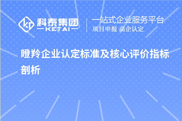<a href=http://www.hsloq2267.cn/fuwu/dengling.html target=_blank class=infotextkey>瞪羚企業(yè)認(rèn)定</a>標(biāo)準(zhǔn)及核心評(píng)價(jià)指標(biāo)剖析		 		