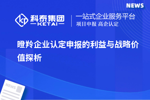 <a href=http://www.hsloq2267.cn/fuwu/dengling.html target=_blank class=infotextkey>瞪羚企業(yè)認(rèn)定</a>申報的利益與戰(zhàn)略價值探析		 		