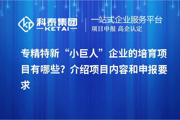 專精特新“小巨人”企業(yè)的培育項(xiàng)目有哪些？介紹項(xiàng)目內(nèi)容和申報(bào)要求