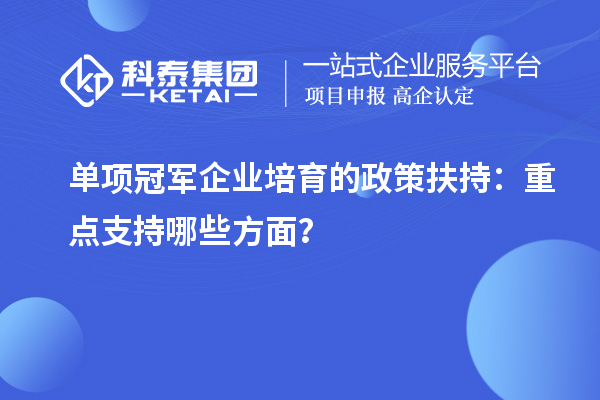 單項冠軍企業(yè)培育的政策扶持：重點支持哪些方面？