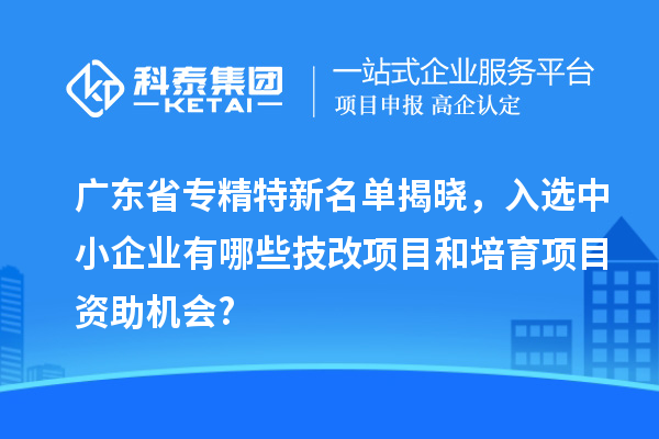 廣東省專精特新名單揭曉，入選中小企業(yè)有哪些技改項(xiàng)目和培育項(xiàng)目資助機(jī)會(huì)?