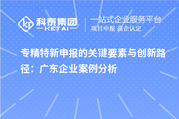 專精特新申報的關(guān)鍵要素與創(chuàng)新路徑：廣東企業(yè)案例分析