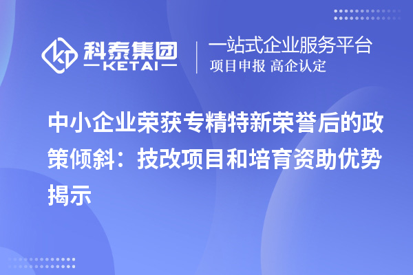 中小企業(yè)榮獲專精特新榮譽(yù)后的政策傾斜：<a href=http://www.hsloq2267.cn/fuwu/jishugaizao.html target=_blank class=infotextkey>技改</a>項(xiàng)目和培育資助優(yōu)勢(shì)揭示