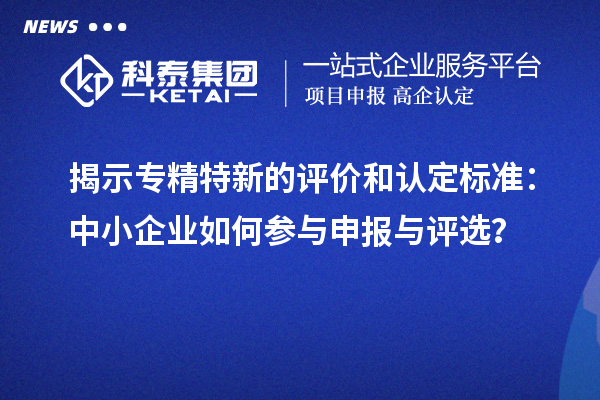 揭示專精特新的評價和認(rèn)定標(biāo)準(zhǔn)：中小企業(yè)如何參與申報與評選？