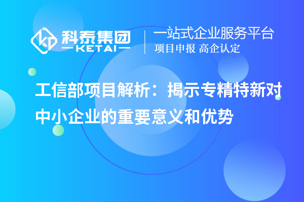 工信部項(xiàng)目解析：揭示專精特新對中小企業(yè)的重要意義和優(yōu)勢