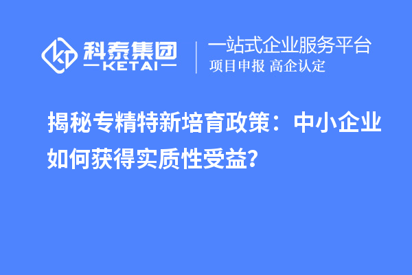 揭秘專精特新培育政策：中小企業(yè)如何獲得實質(zhì)性受益？