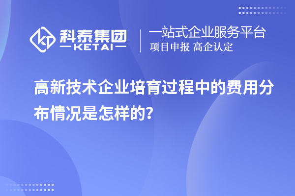 高新技術(shù)企業(yè)培育過(guò)程中的費(fèi)用分布情況是怎樣的？