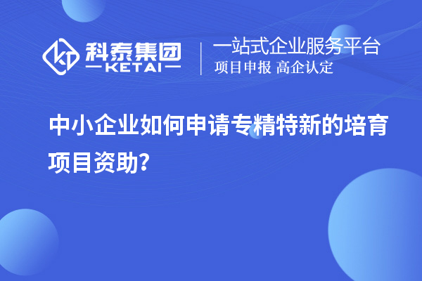 中小企業(yè)如何申請(qǐng)專(zhuān)精特新的培育項(xiàng)目資助？