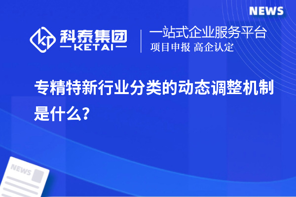 專精特新行業(yè)分類的動態(tài)調(diào)整機制是什么？