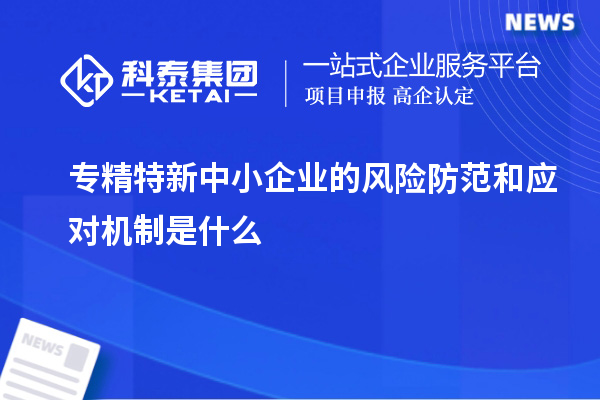專精特新中小企業(yè)的風(fēng)險(xiǎn)防范和應(yīng)對(duì)機(jī)制是什么