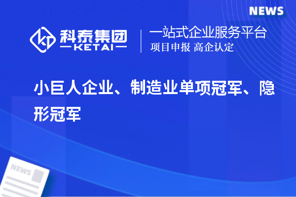 小巨人企業(yè)、制造業(yè)單項(xiàng)冠軍、隱形冠軍
