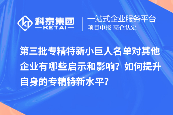 第三批專精特新小巨人名單對其他企業(yè)有哪些啟示和影響？如何提升自身的專精特新水平？