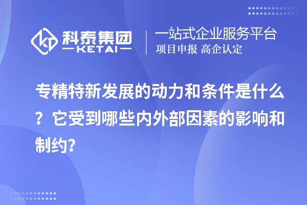 專精特新發(fā)展的動(dòng)力和條件是什么？它受到哪些內(nèi)外部因素的影響和制約？