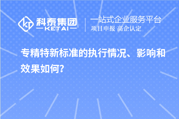 專精特新標(biāo)準(zhǔn)的執(zhí)行情況、影響和效果如何？
