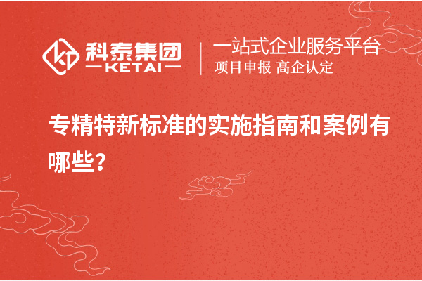 專精特新標(biāo)準(zhǔn)的實(shí)施指南和案例有哪些？